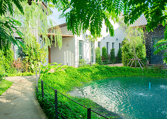 ห้องพักรวม (แยกชาย-หญิง)